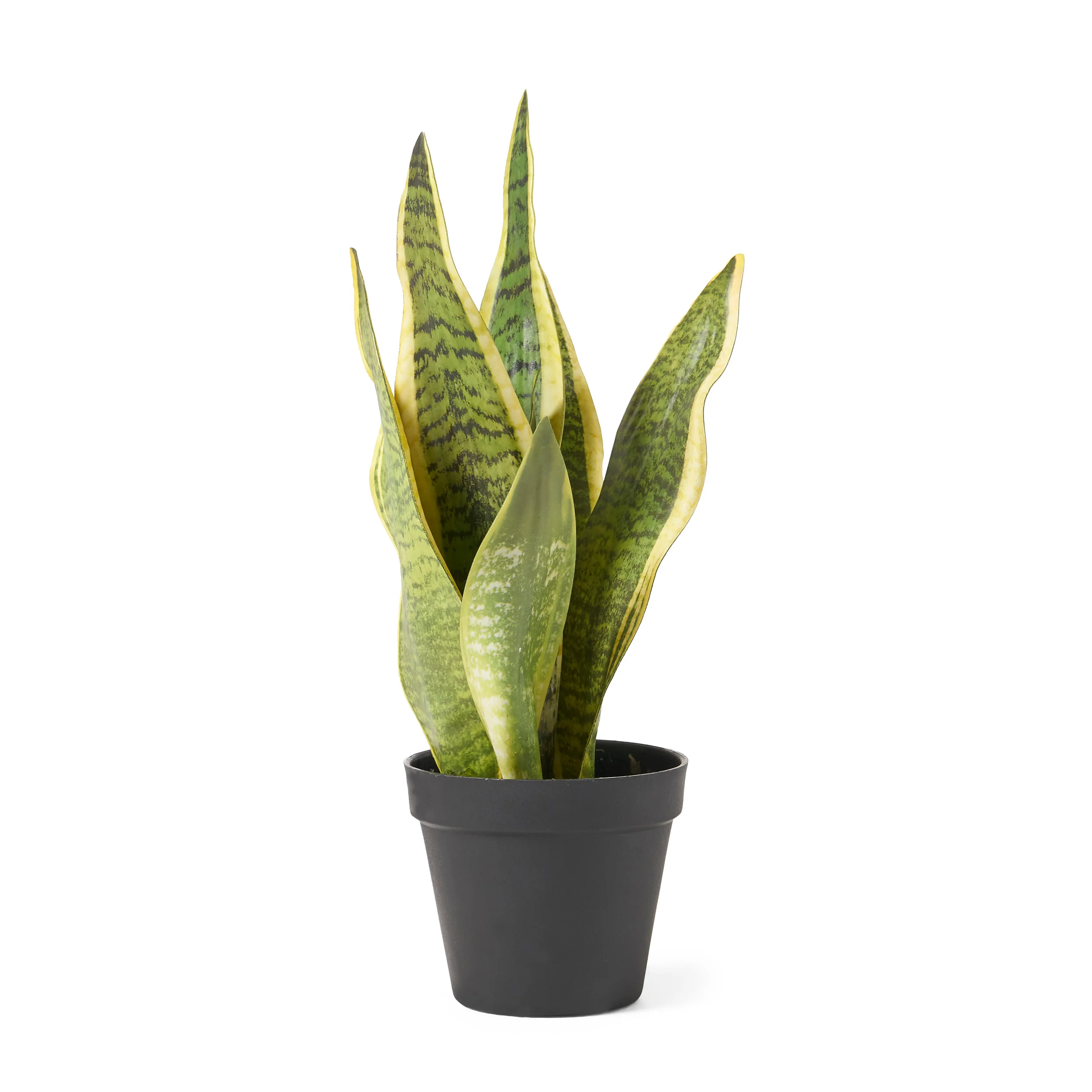 McClure Artificial Tabletop Snake Plant - furnishings