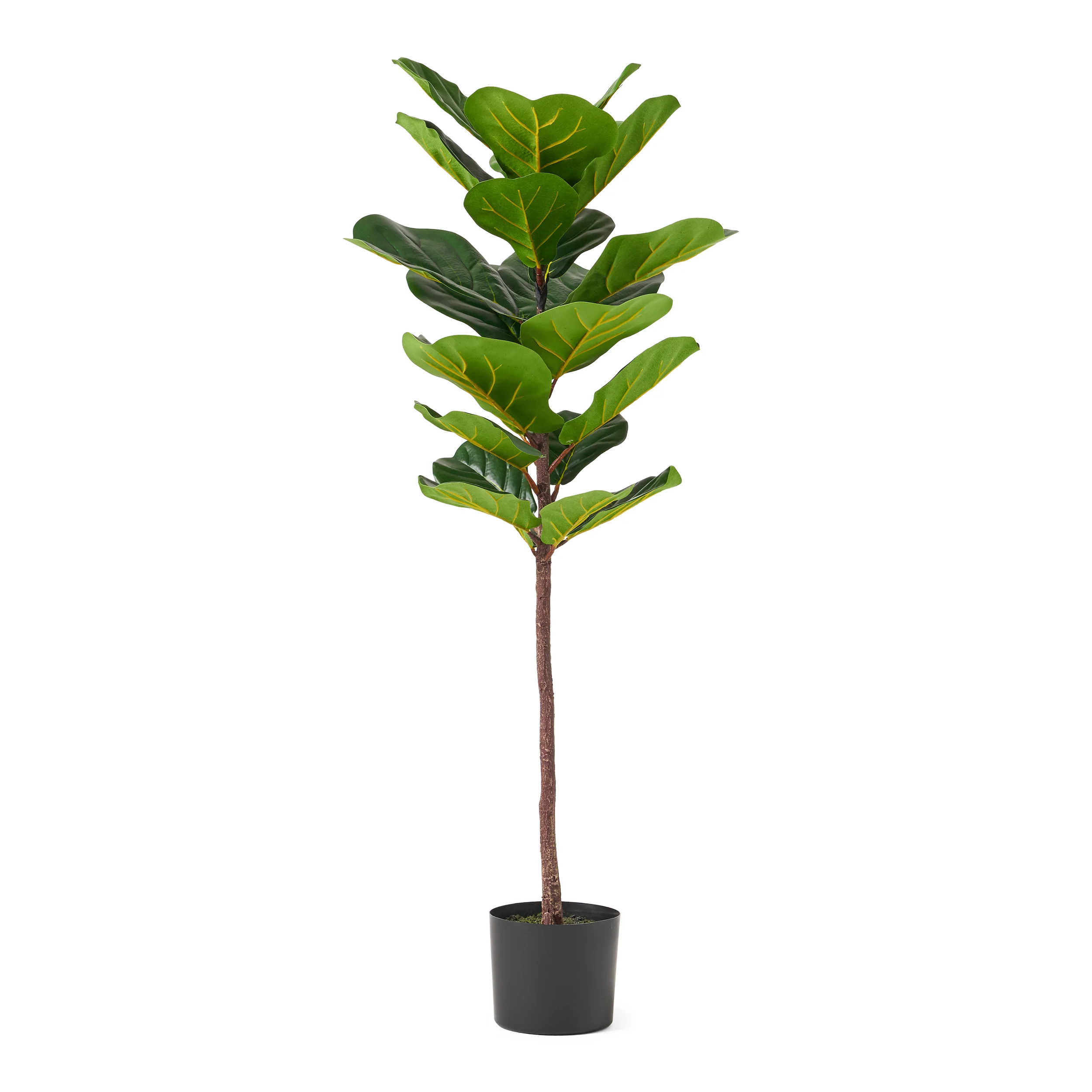 Stilwell Artificial Fiddle-Leaf Fig Tree - furnishings