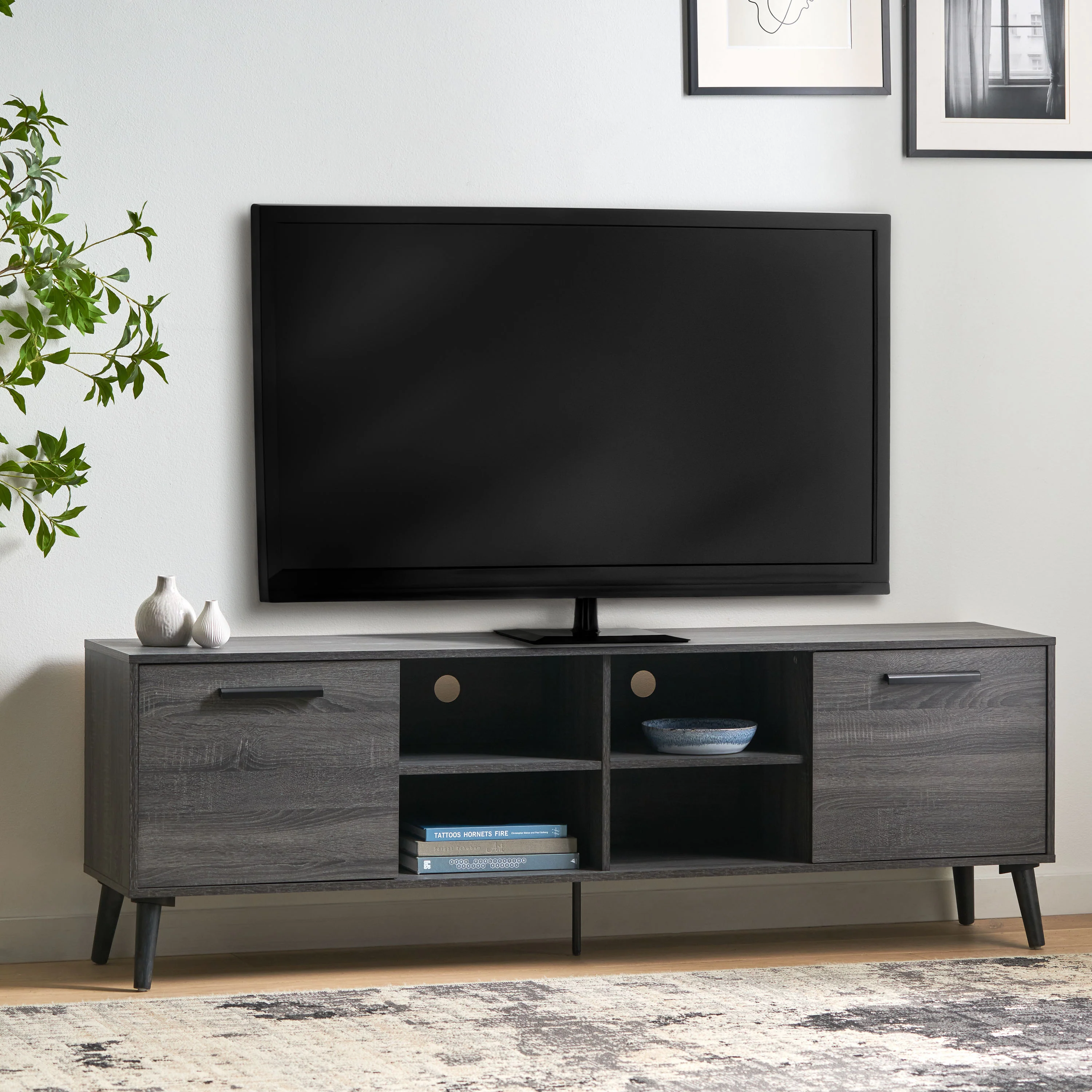 Owensmouth Mid Century Modern 2 Cabinets & Shelves TV Stand - furnishings