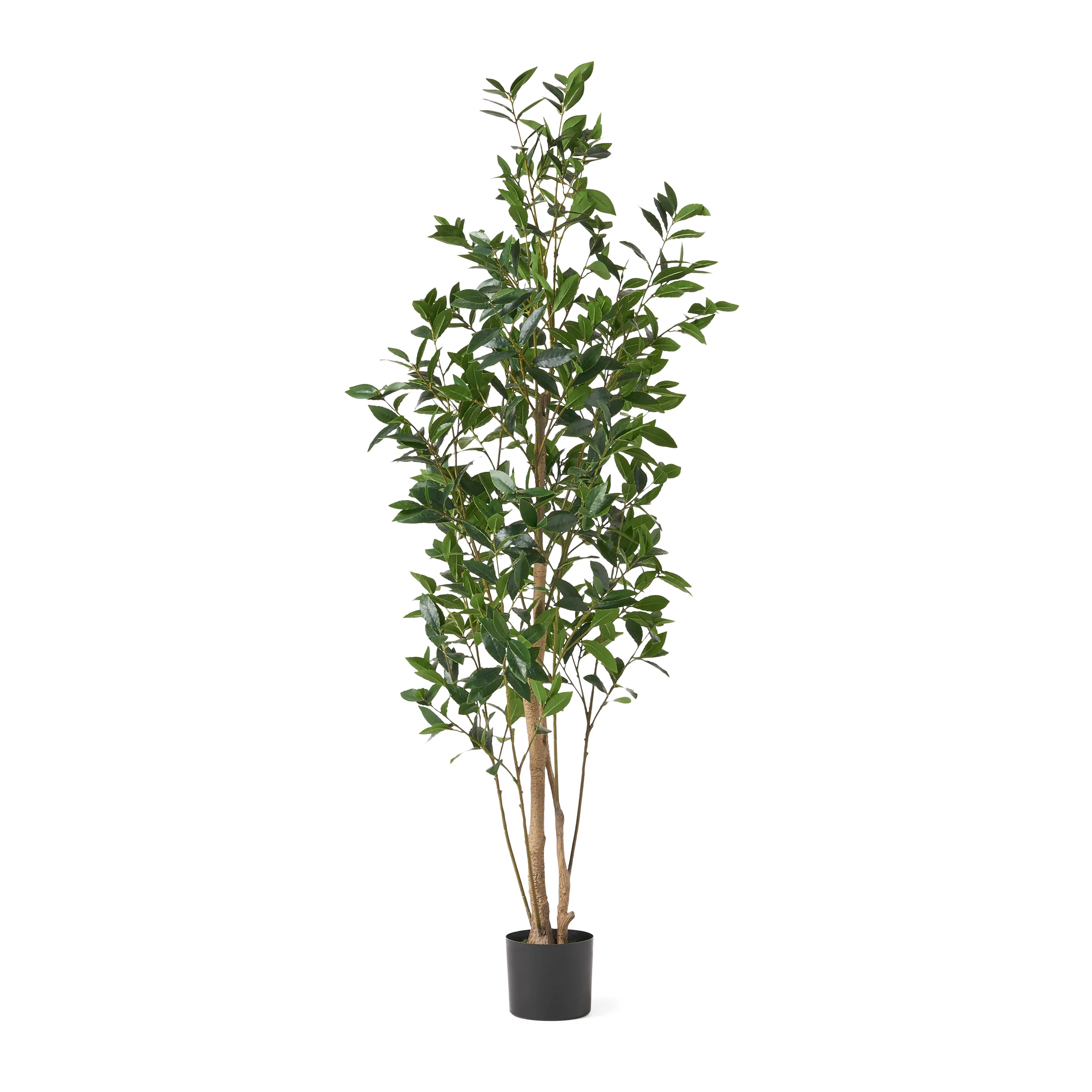 Forgan Artificial Laurel Tree - furnishings
