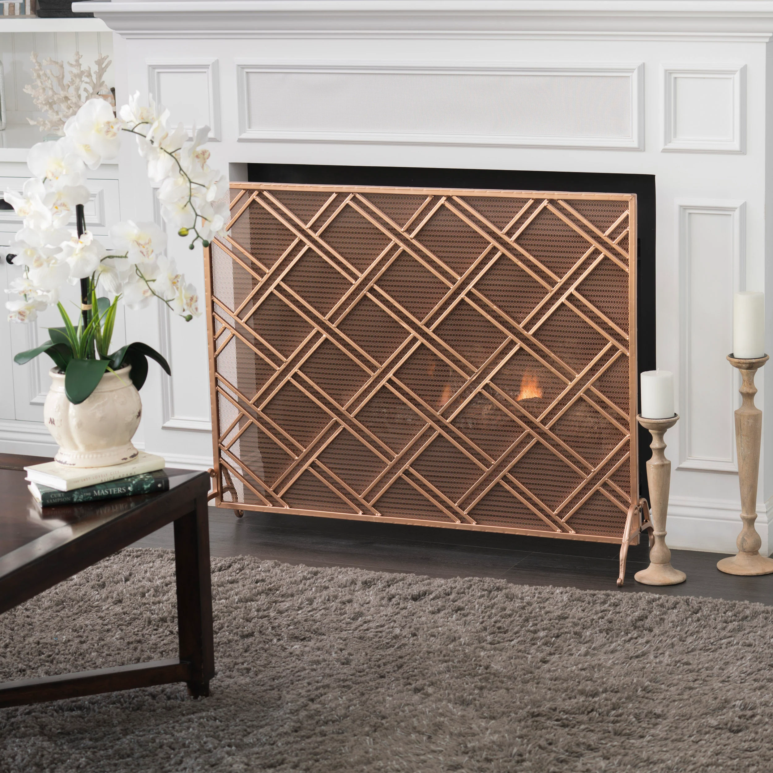 Josette Contemporary Single-Panel Iron Fireplace Screen - furnishings