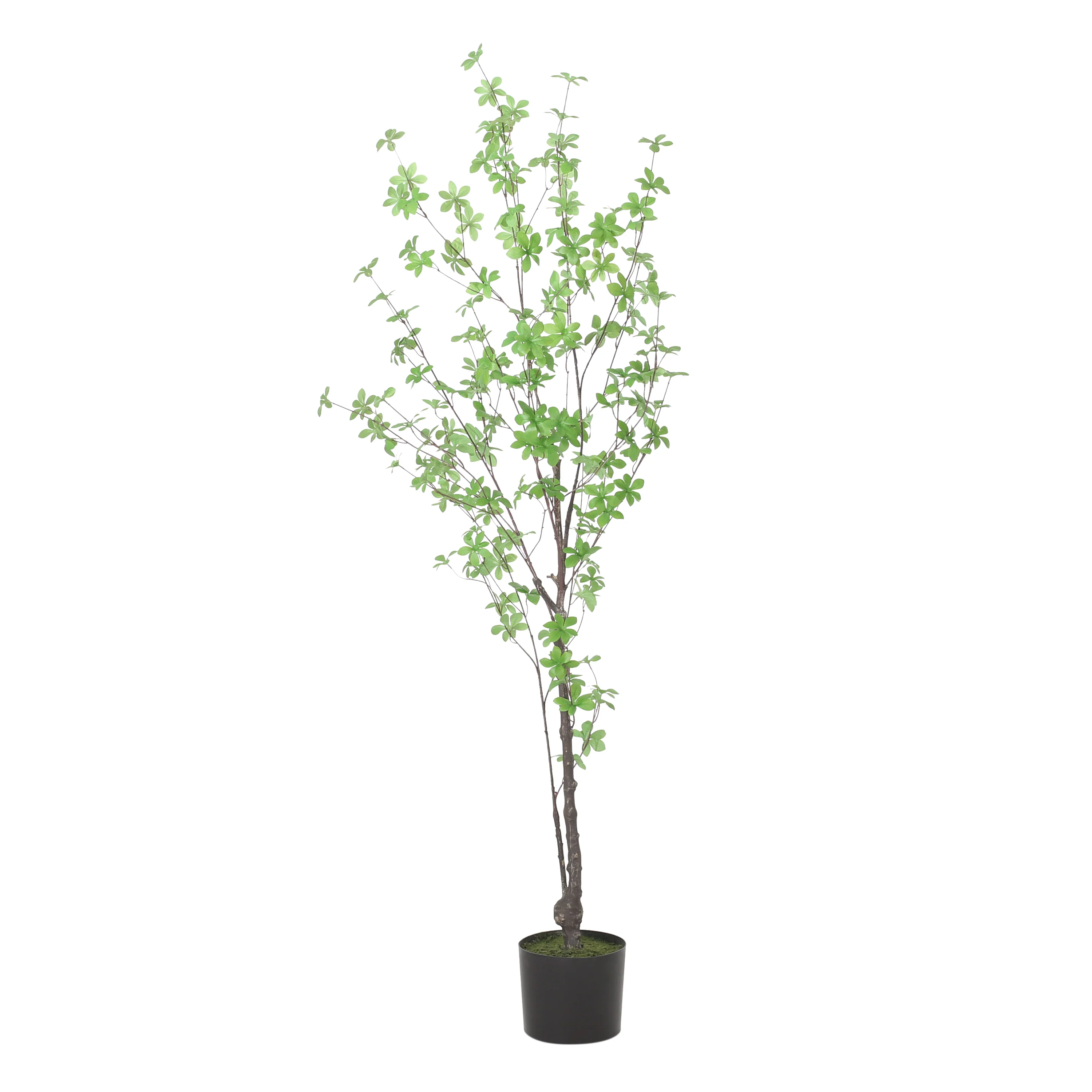 Monadnock Artificial Enkianthus Tree - furnishings