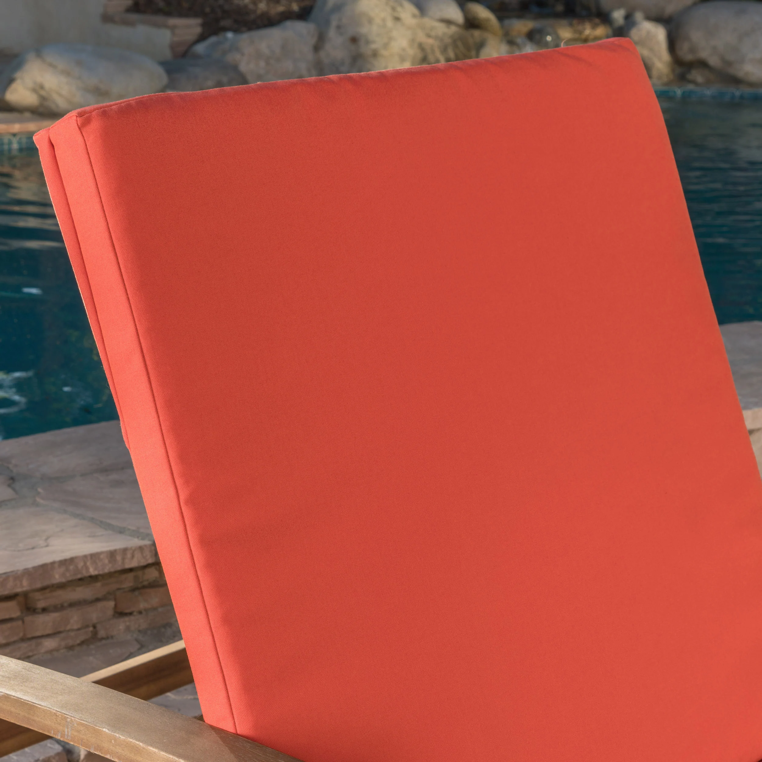 Daisy Outdoor Water Resistant Chaise Lounge Cushion (Set of 2) - furnishings