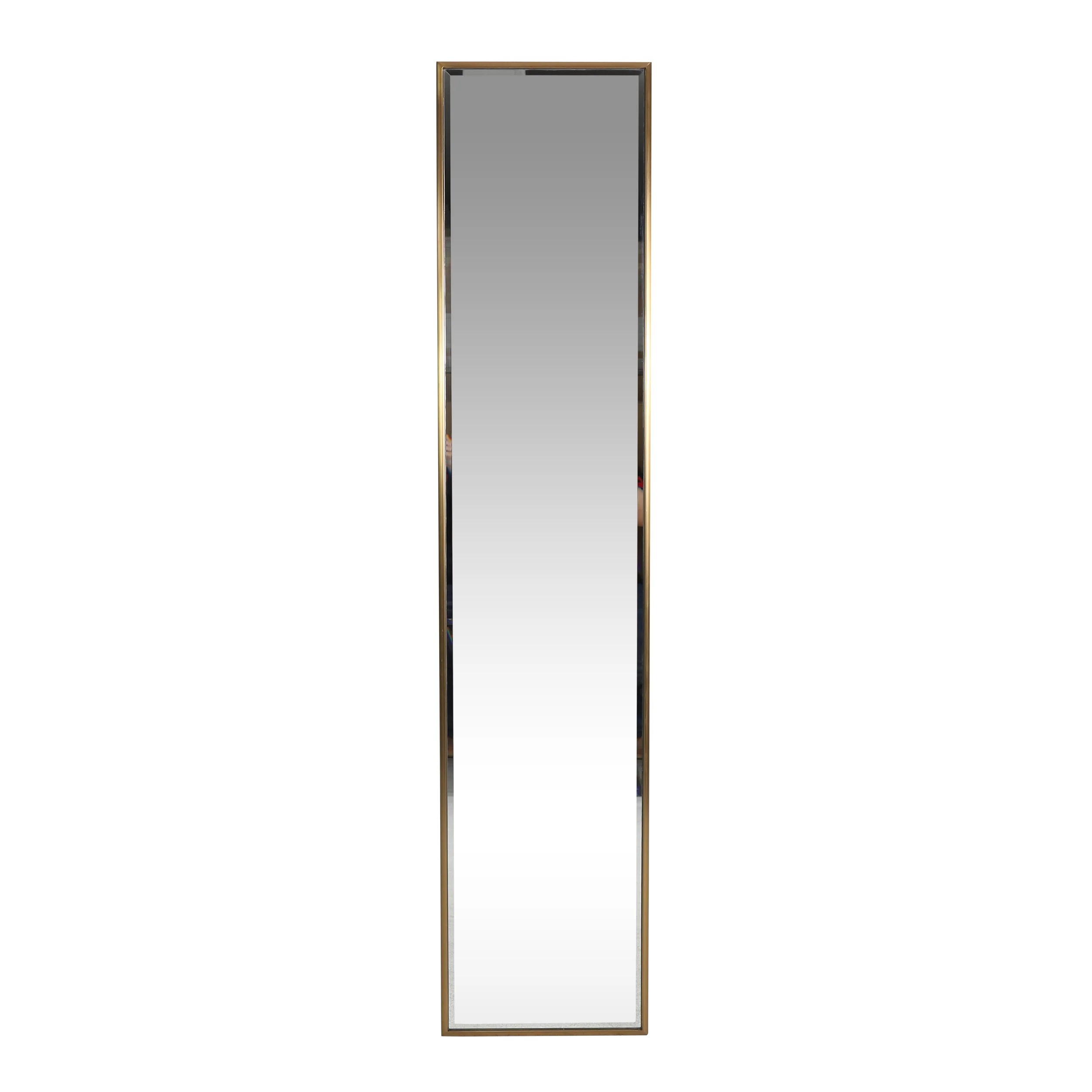 Lyanna Contemporary Rectangular Leaner Mirror - furnishings