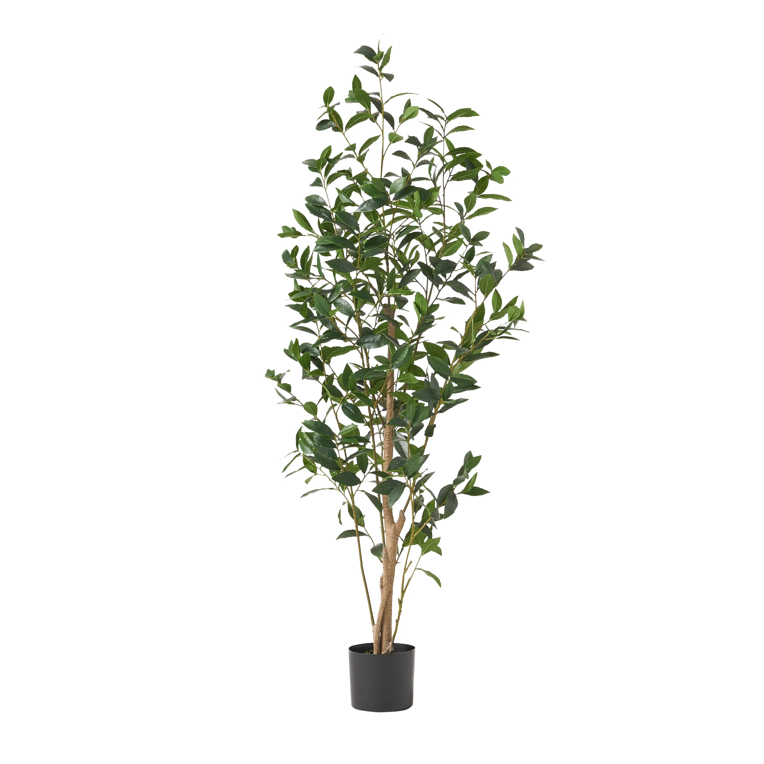 Forgan Artificial Laurel Tree - furnishings