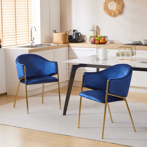 Aspena Modern Upholstered Velvet Dining Chairs - furnishings