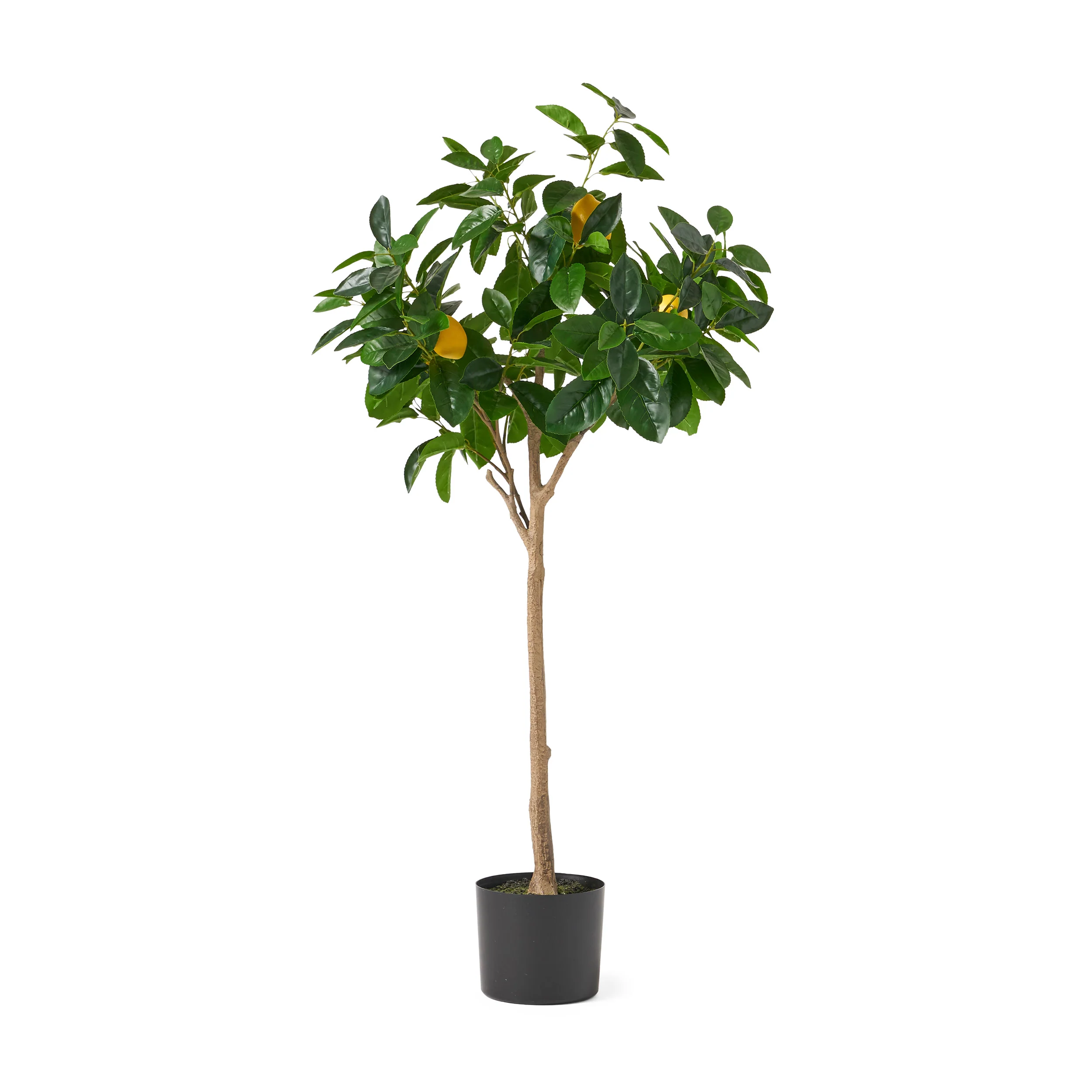 Rattler Artificial Lemon Tree - furnishings