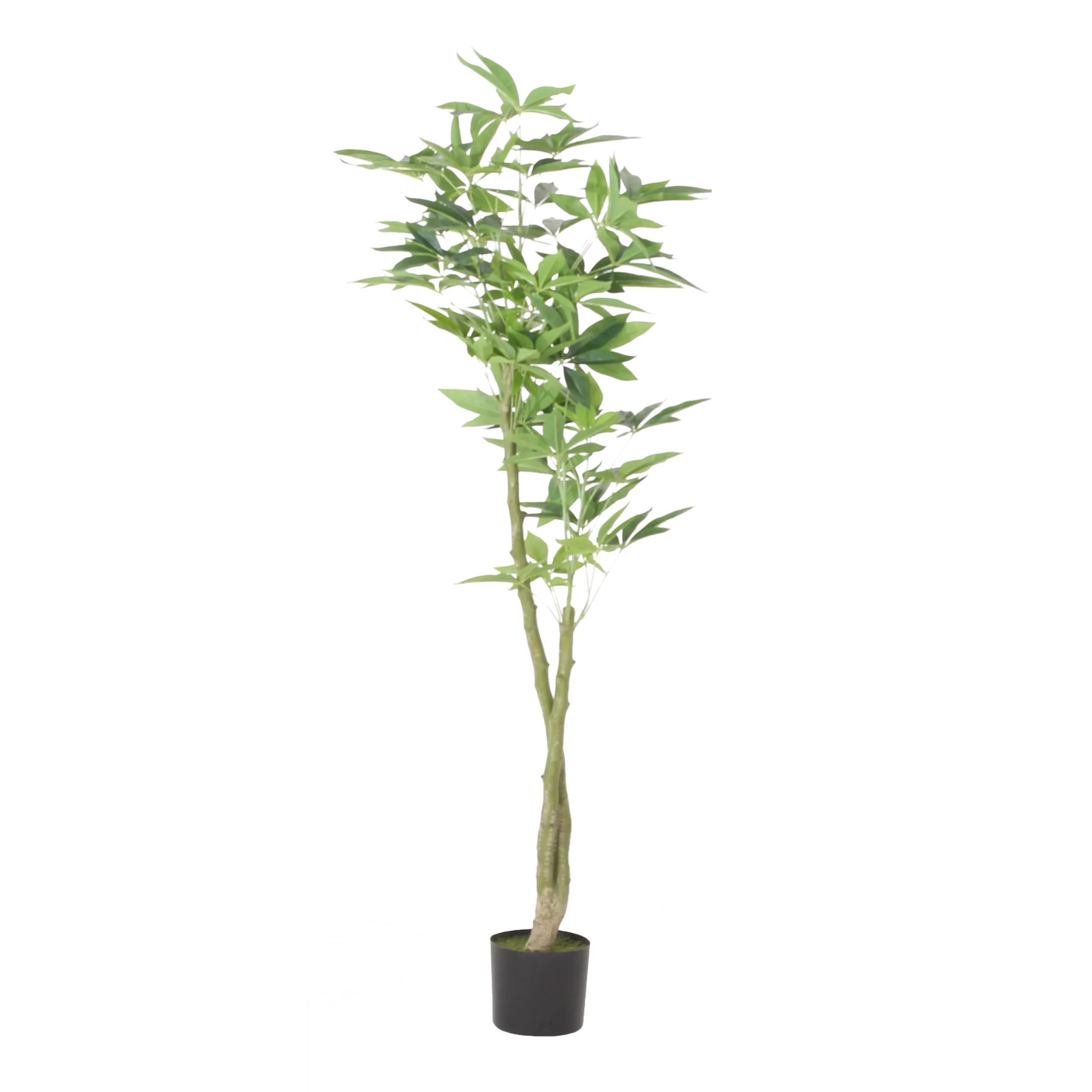 Coles Artificial Money Tree - furnishings