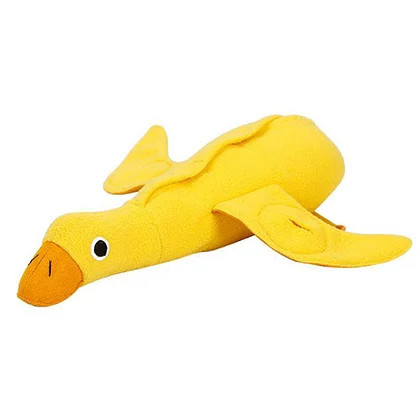 Pet duck toy