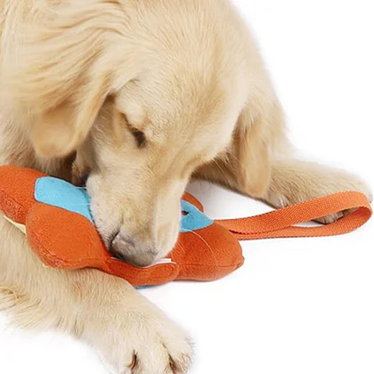 Bone Smell Toys