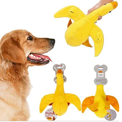 Pet duck toy