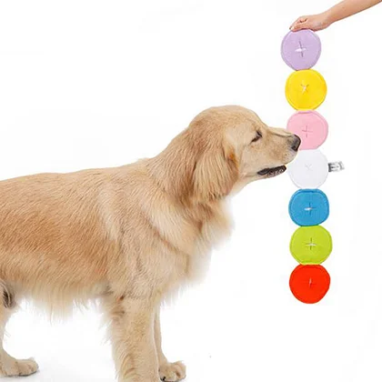 Macaron sniffing dog toys