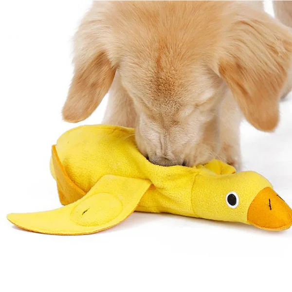 Pet duck toy