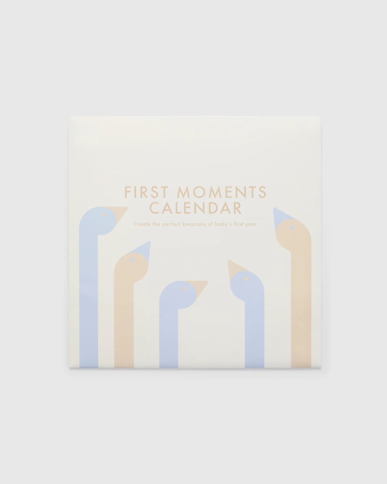 First Moments Baby Calendar