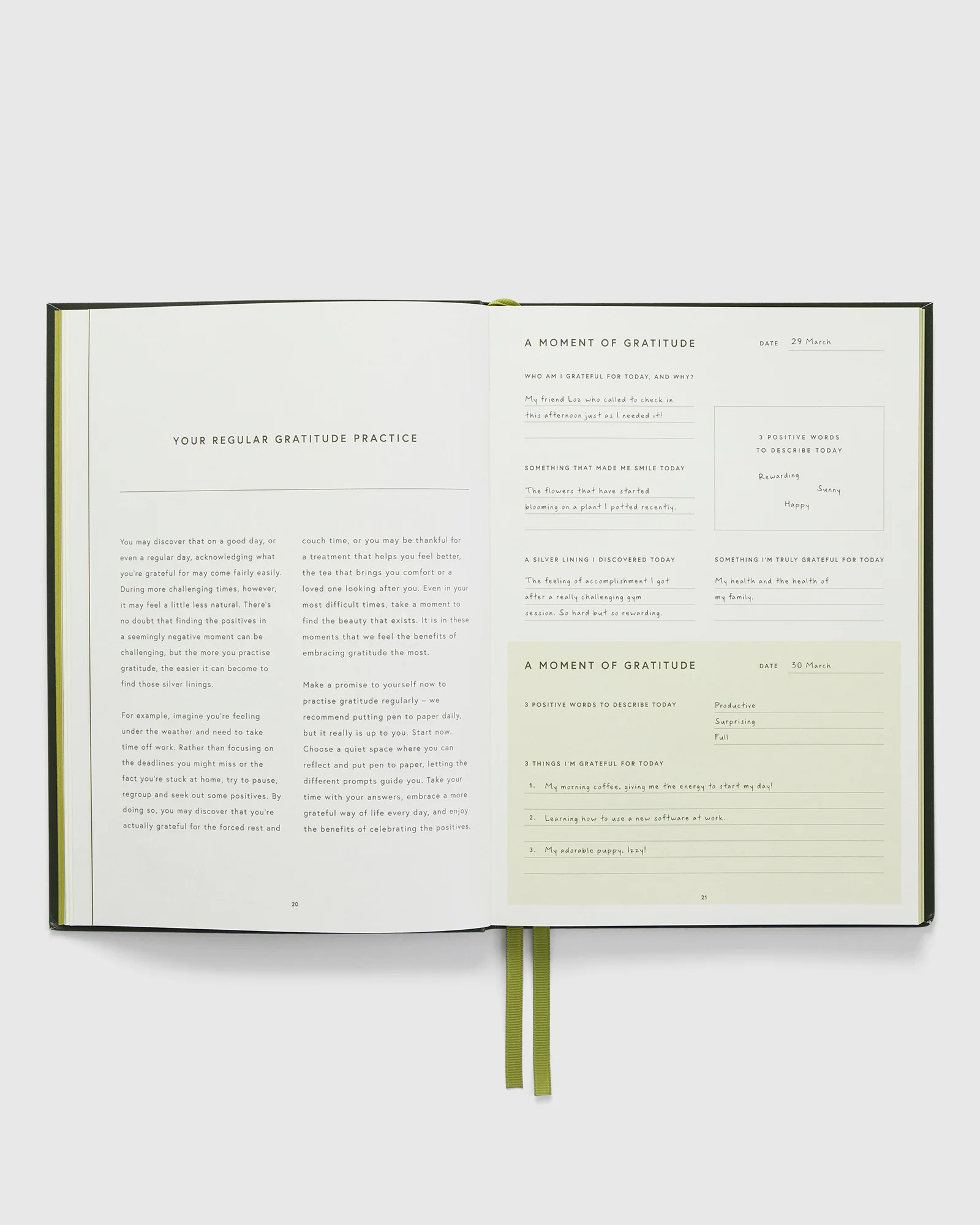 Journal Gratitude B5