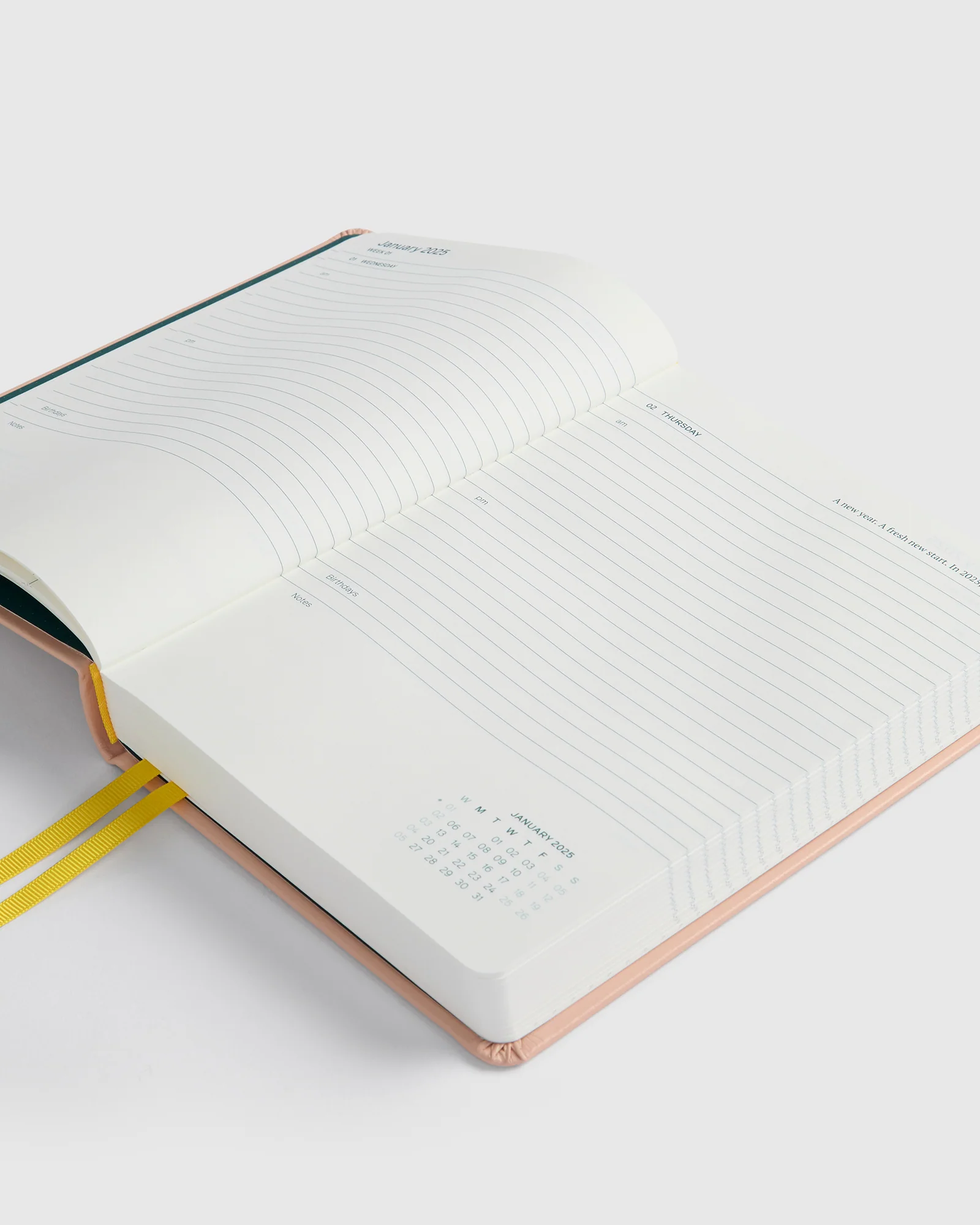 In-Scribe Daily Diary A5 2025