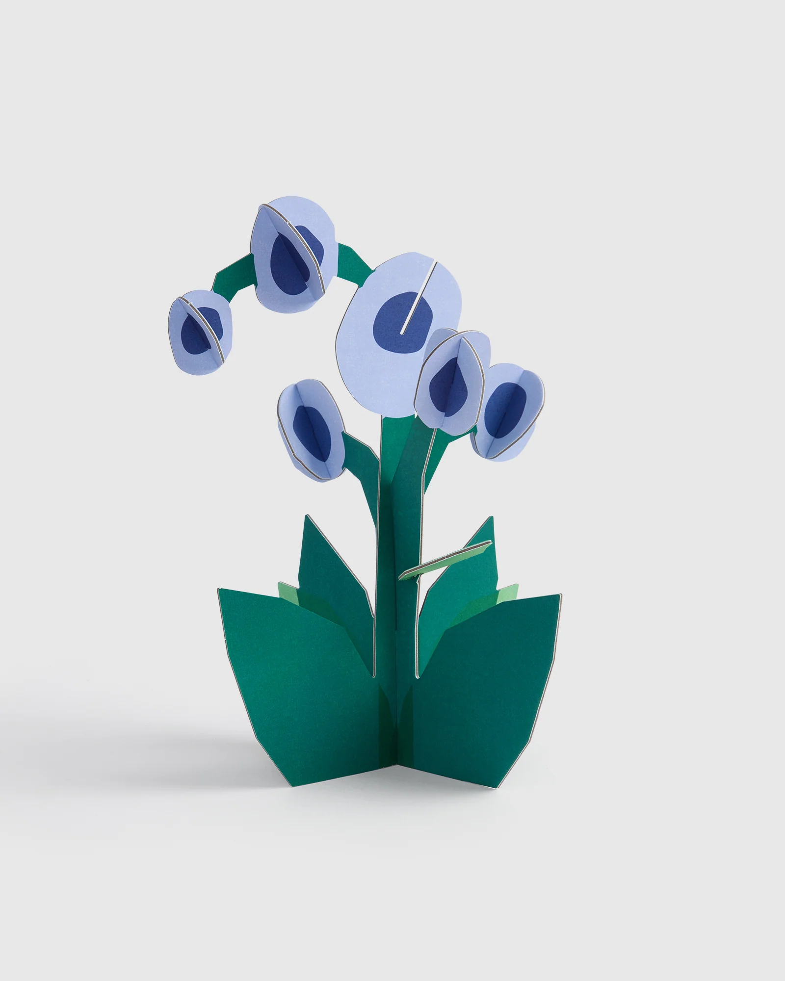 3D Paper Sculpture