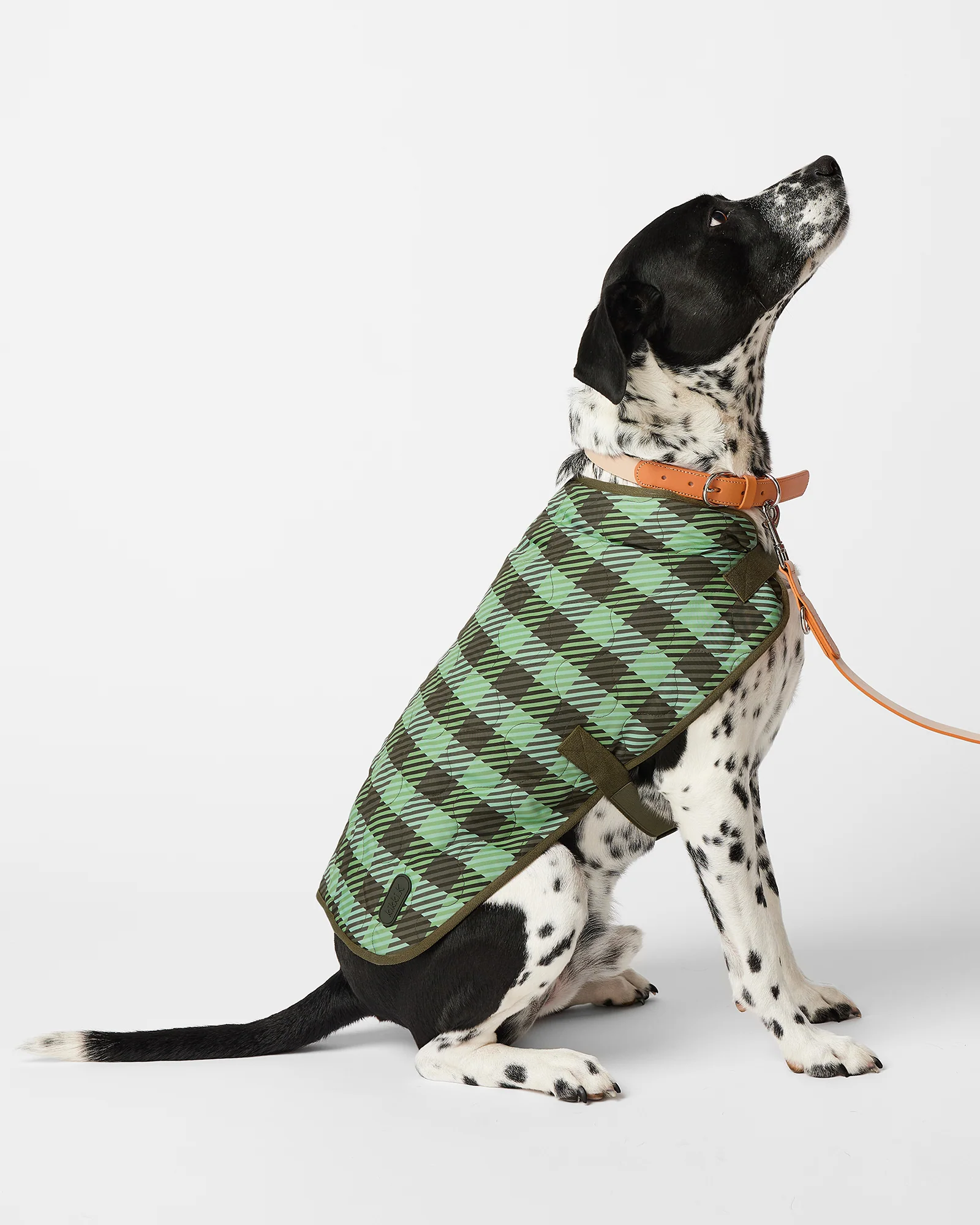 Pet Coat
