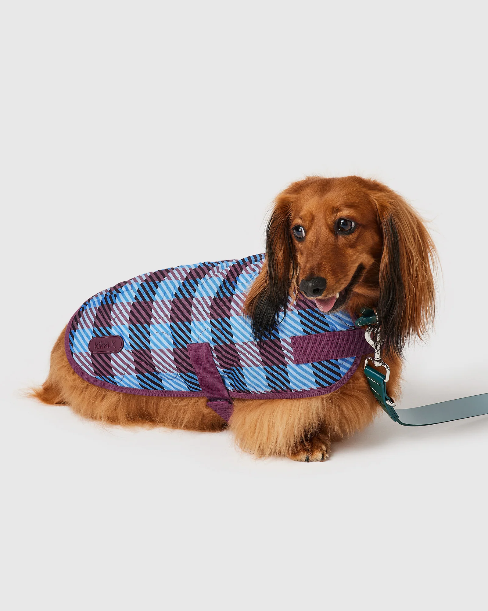Pet Coat