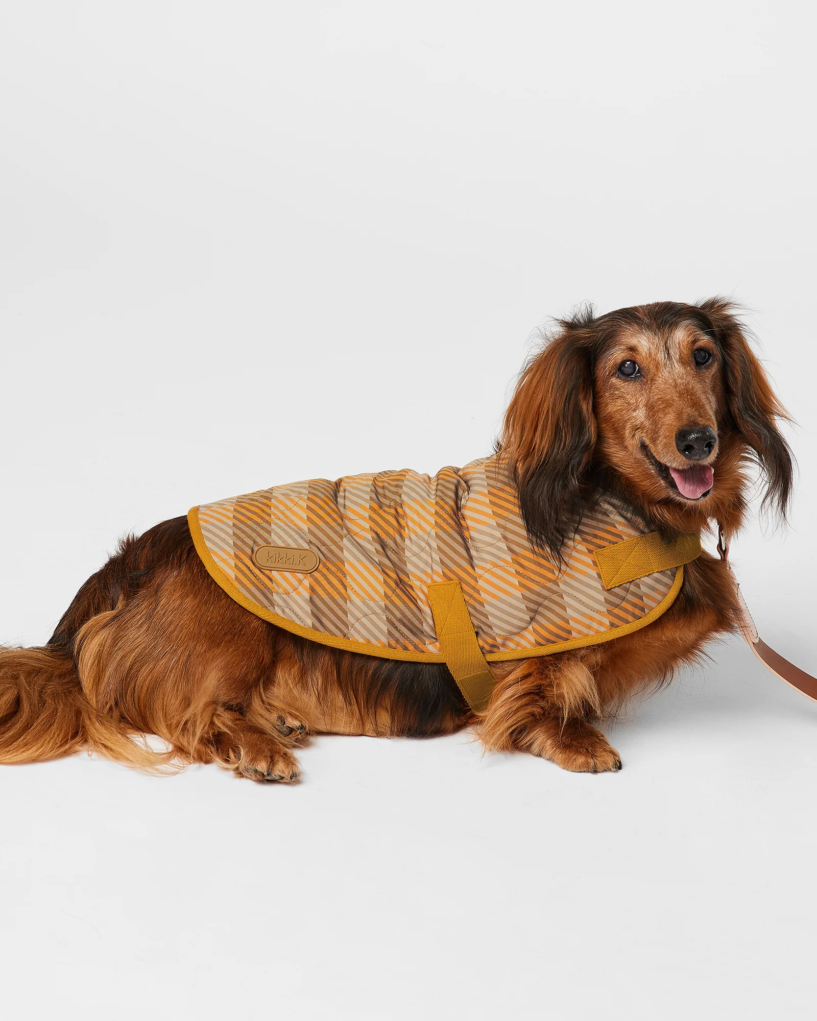 Pet Coat