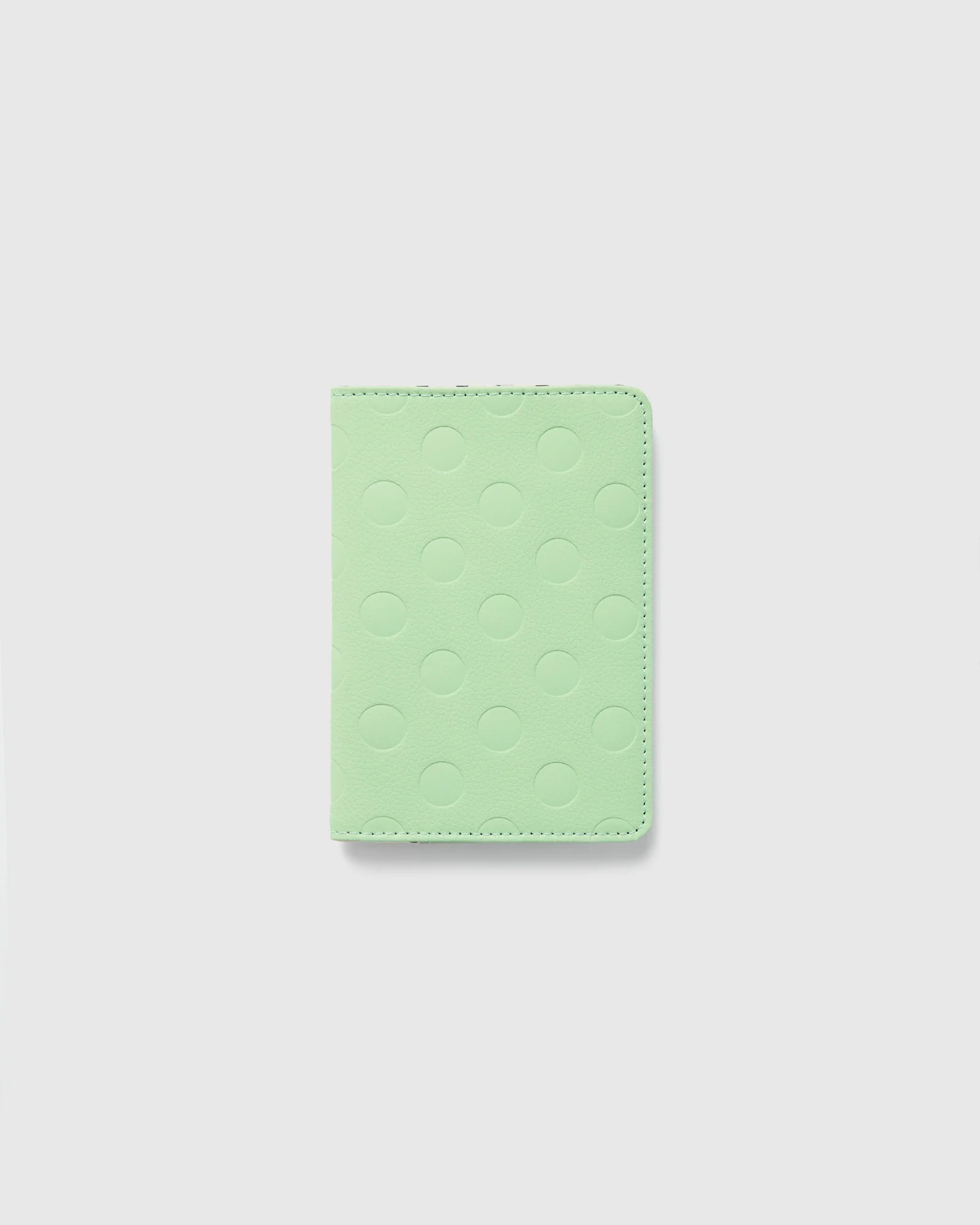Dot Passport Holder