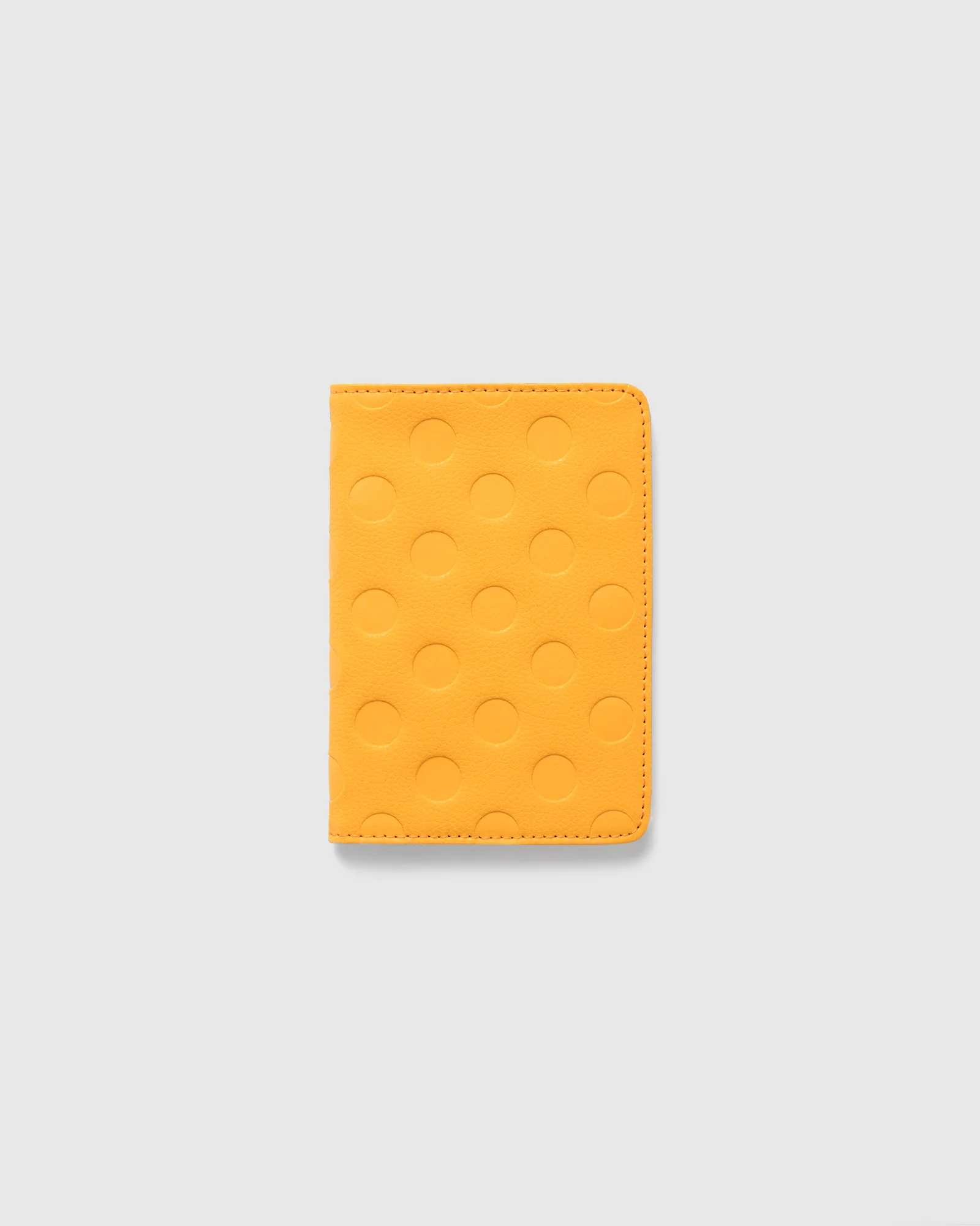 Dot Passport Holder