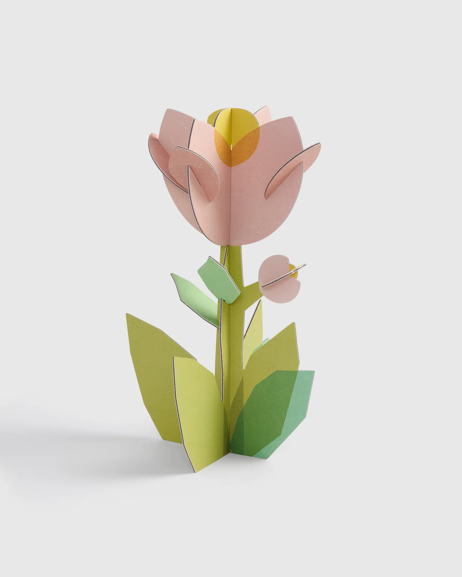 3D Paper Sculpture