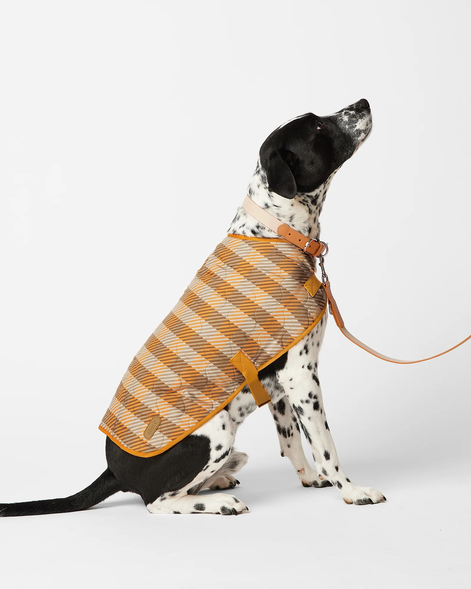 Pet Coat