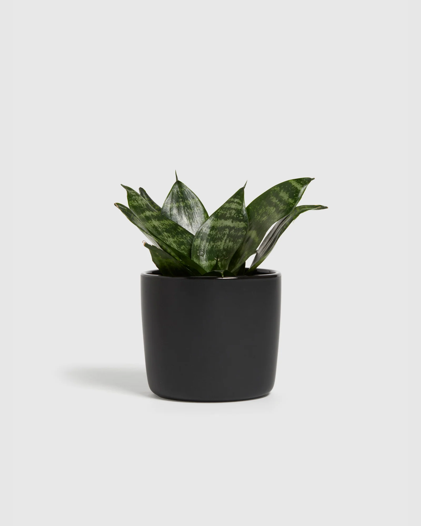 Indoor Garden Planter Medium