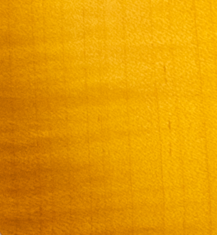 Les Paul Standard 50s Faded