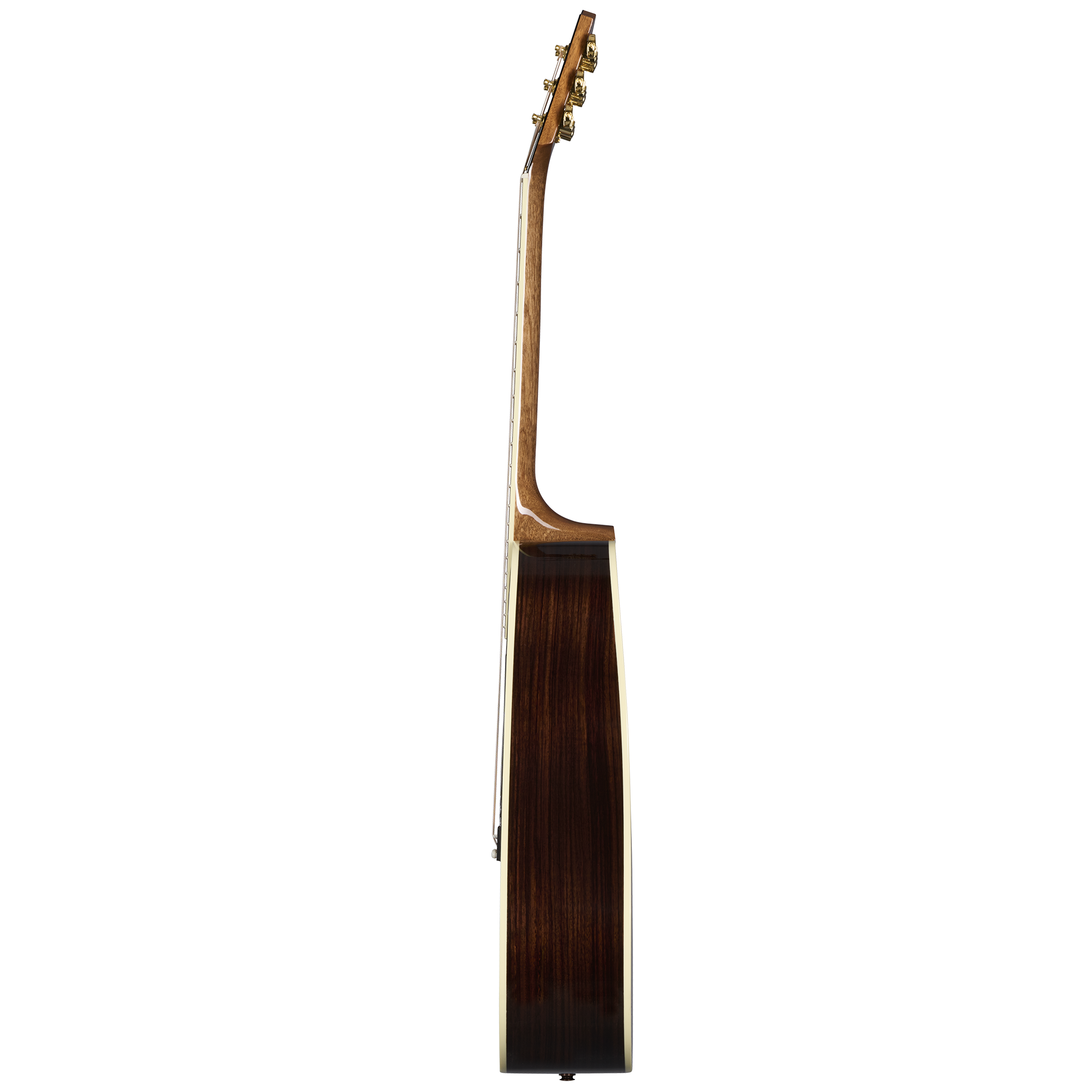 Hummingbird Standard Rosewood