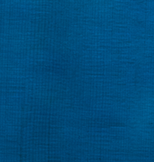 Miranda Lambert Bluebird