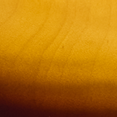 Les Paul Standard 50s Faded