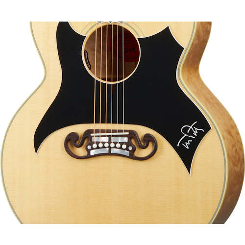 Tom Petty SJ-200 Wildflower