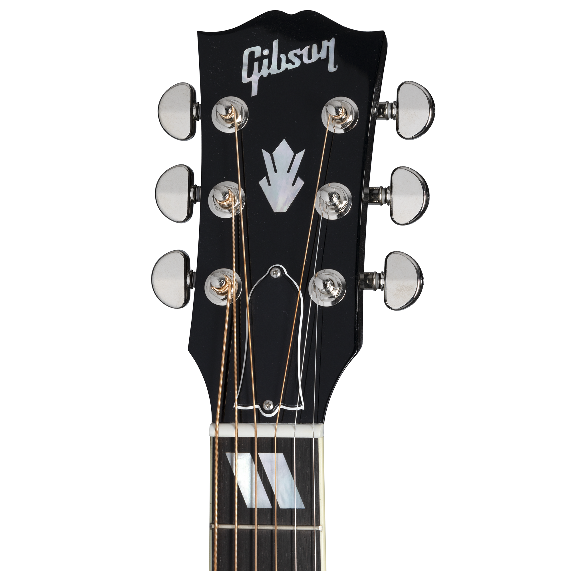 Hummingbird Standard