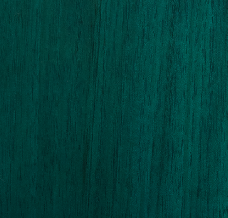SG Standard Custom Color