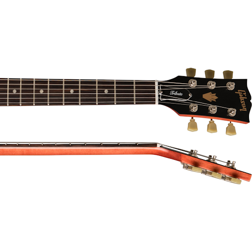 SG Tribute
