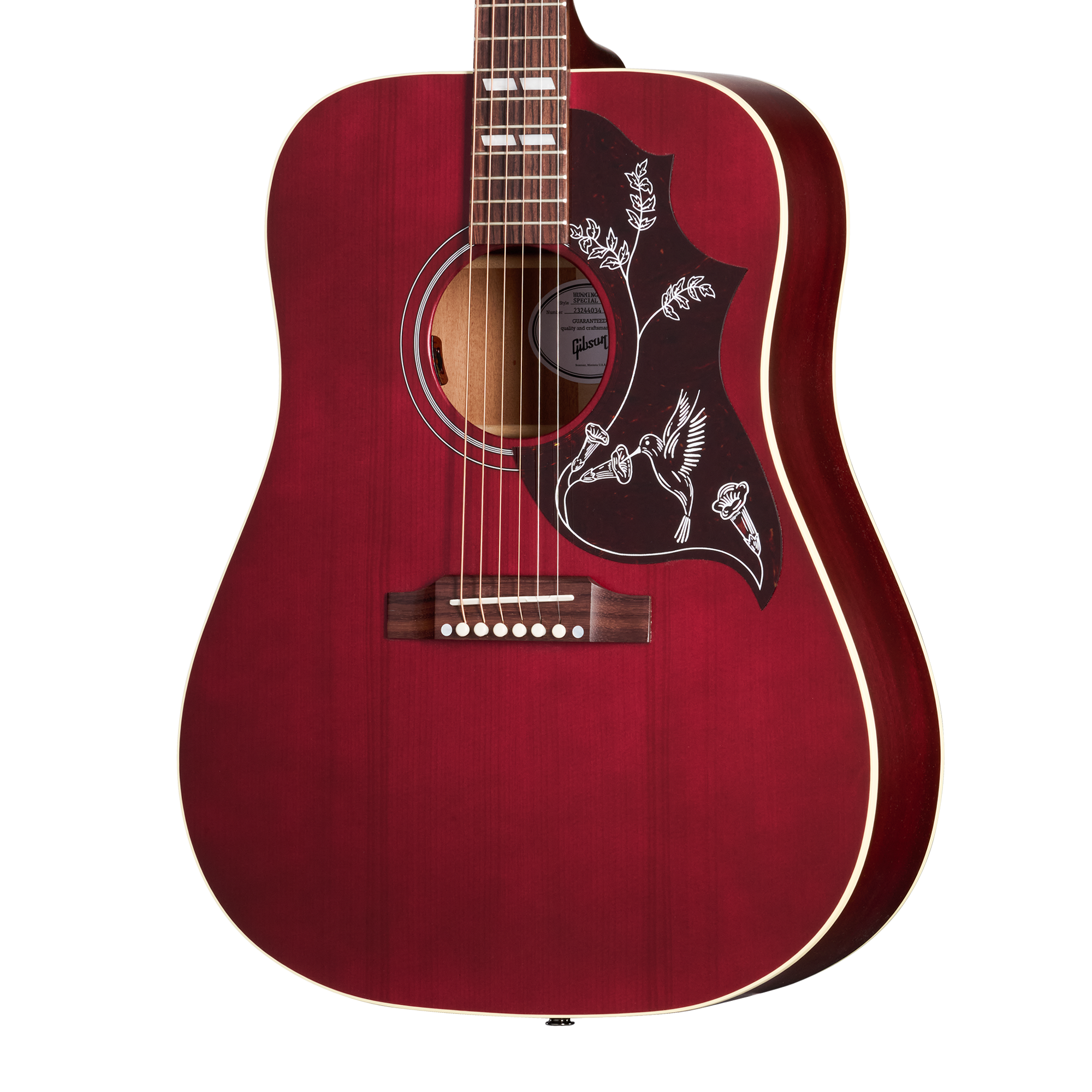 Hummingbird Special