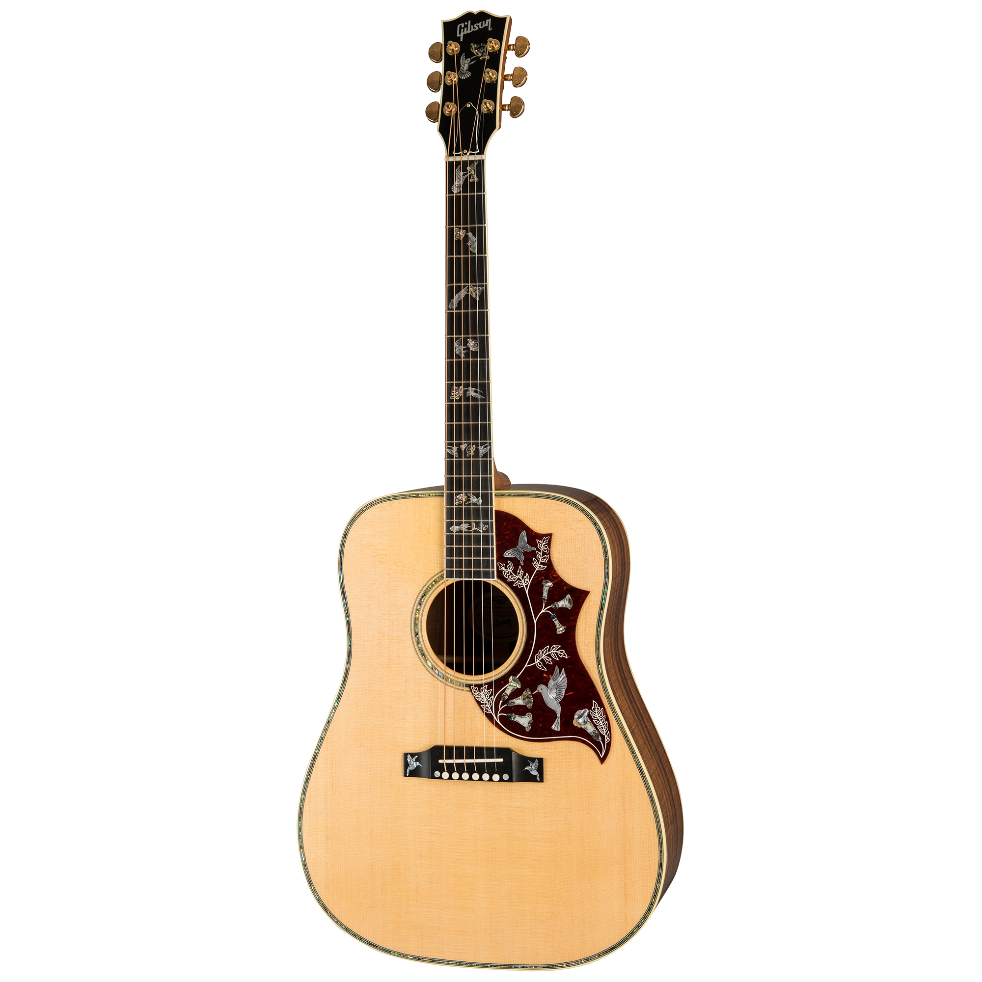 Hummingbird Custom