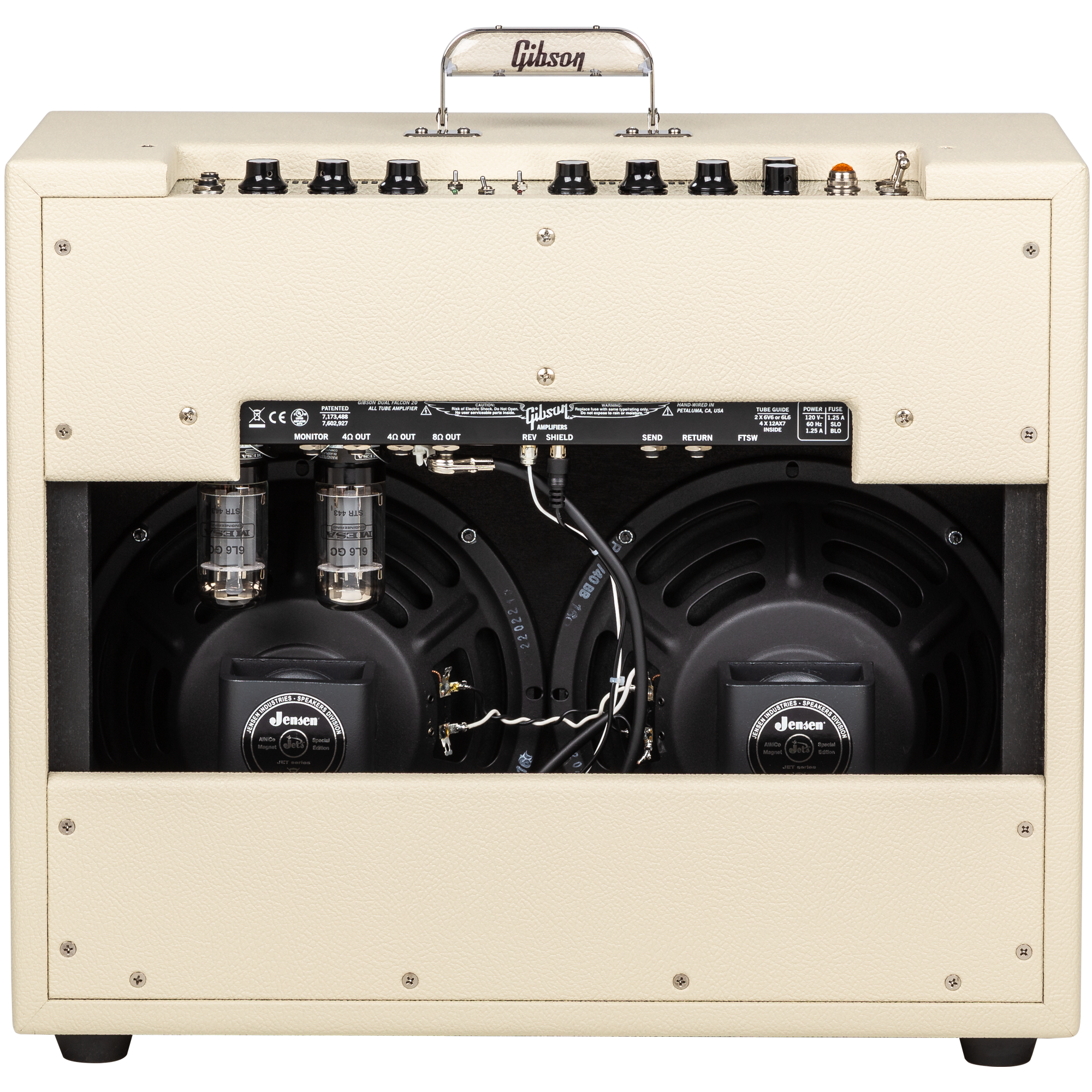 Dual Falcon 20 2x10 Combo