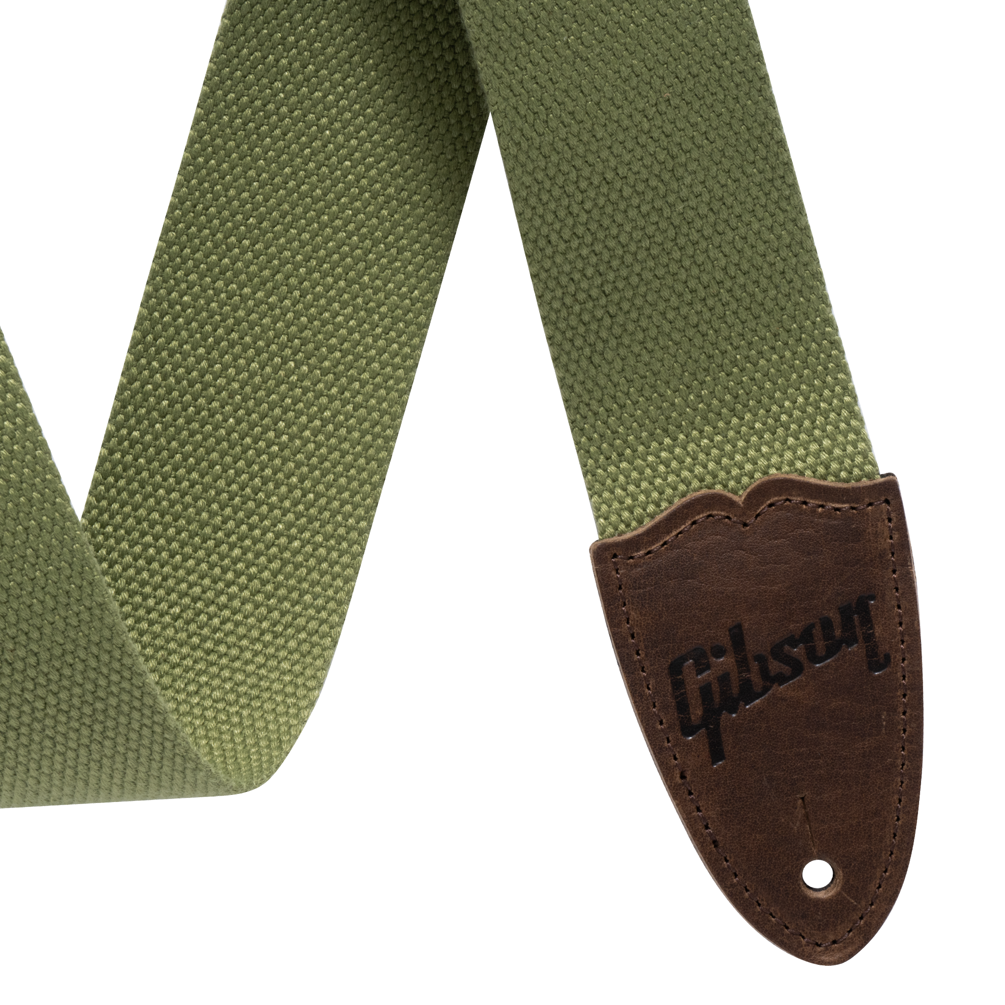 The Canvas (Green)