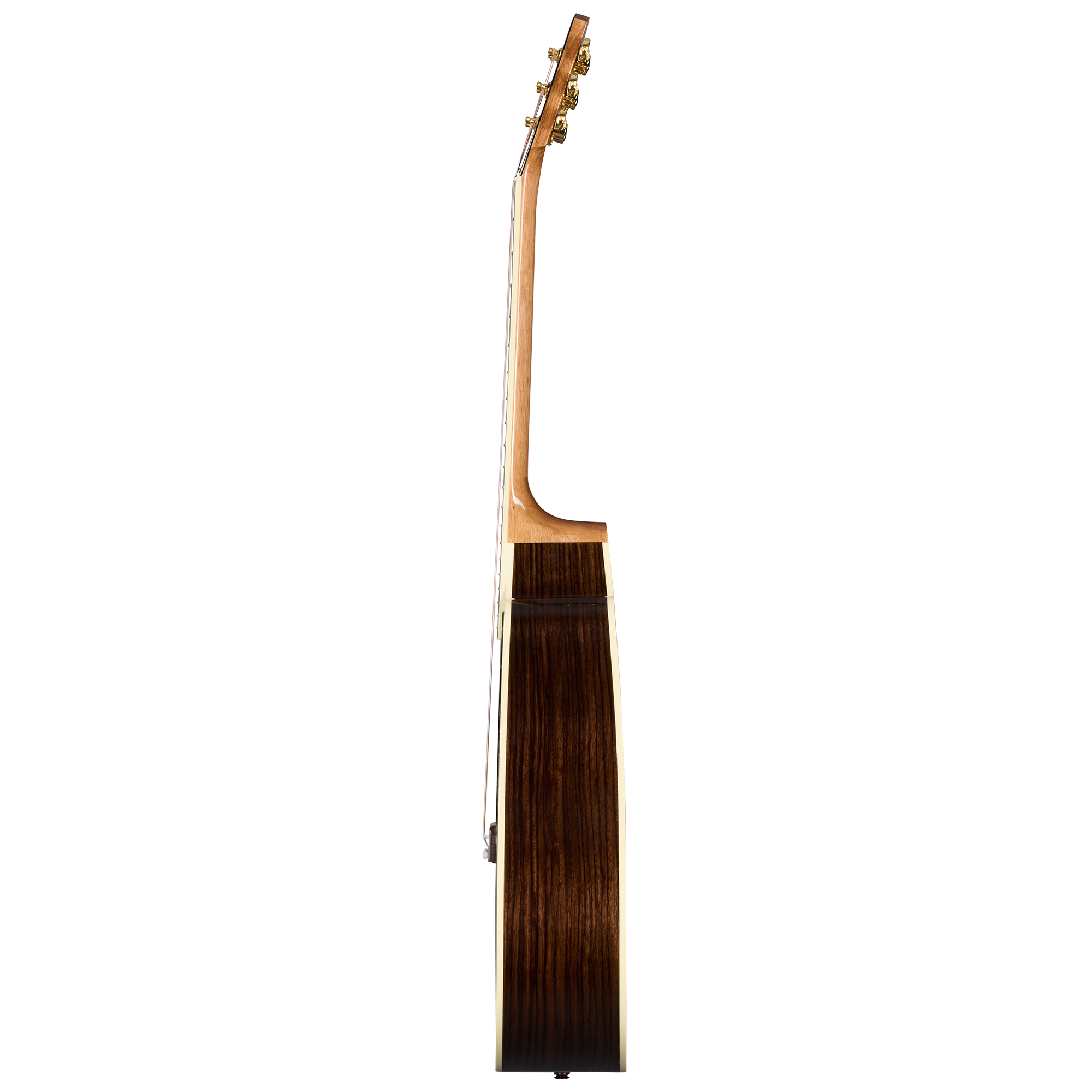 Hummingbird Standard Rosewood EC