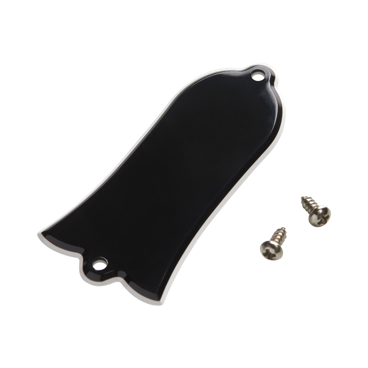 Truss Rod Cover Blank