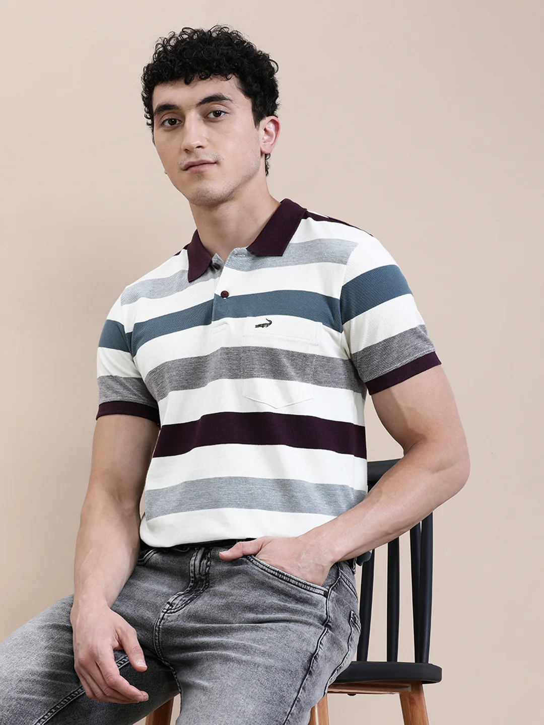 Multi Color Striped Slim Fit Polo