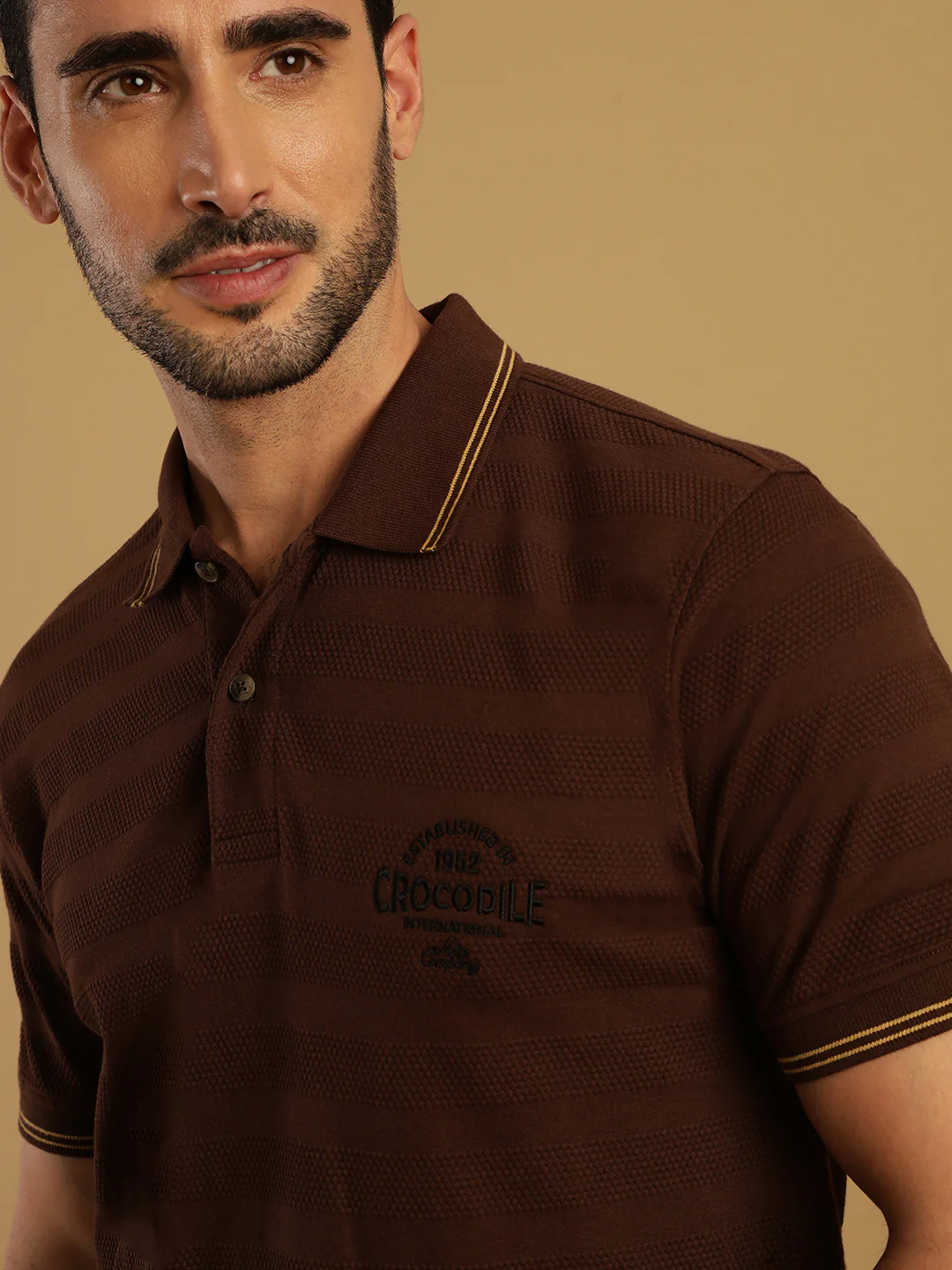 Striped Brown Casual Polo T-Shirt