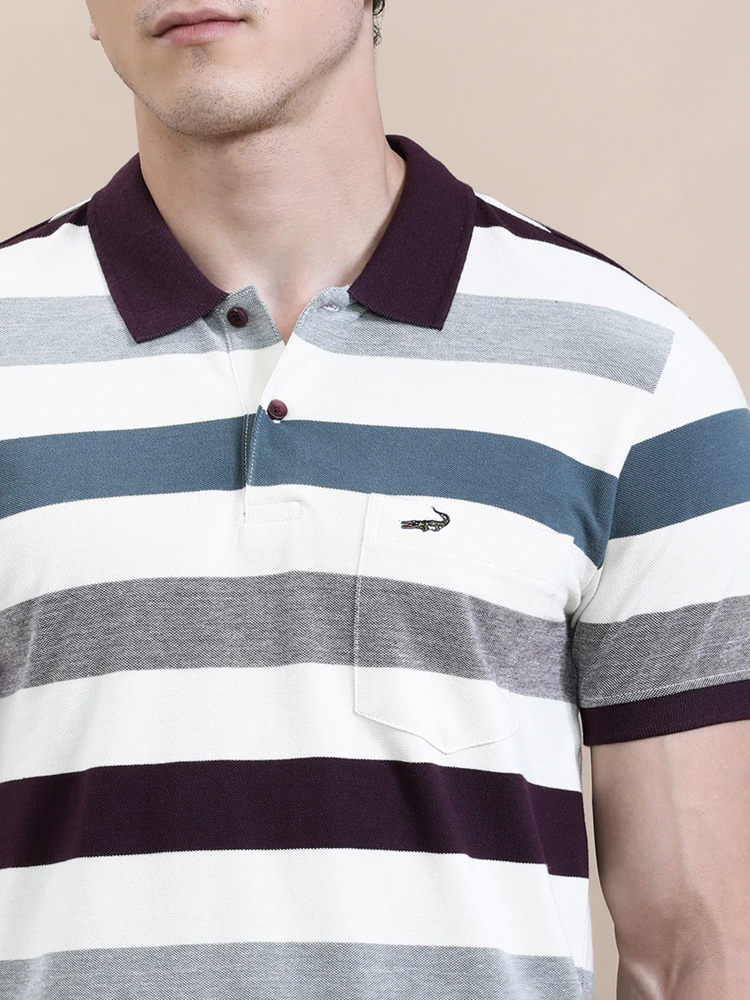 Multi Color Striped Slim Fit Polo