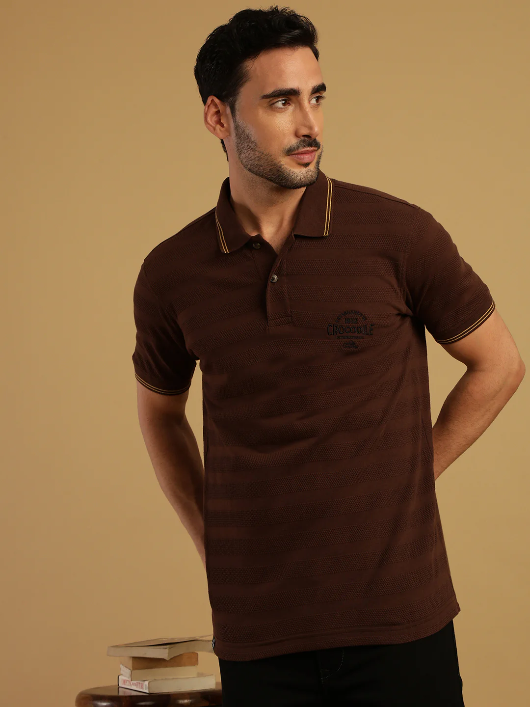 Striped Brown Casual Polo T-Shirt
