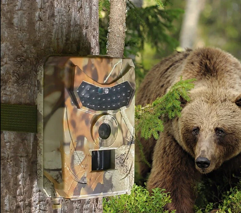 1080P Hunting Trail Camera