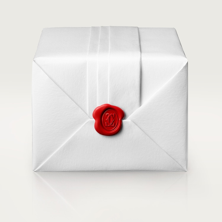 Santos de Cartier watch Large model Silvered opaline dial 39.8 mm