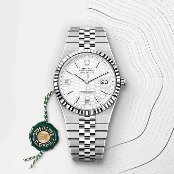 Rolex Land-Dweller 40 Oyster, 40 mm, Oystersteel and white gold M127334-0001